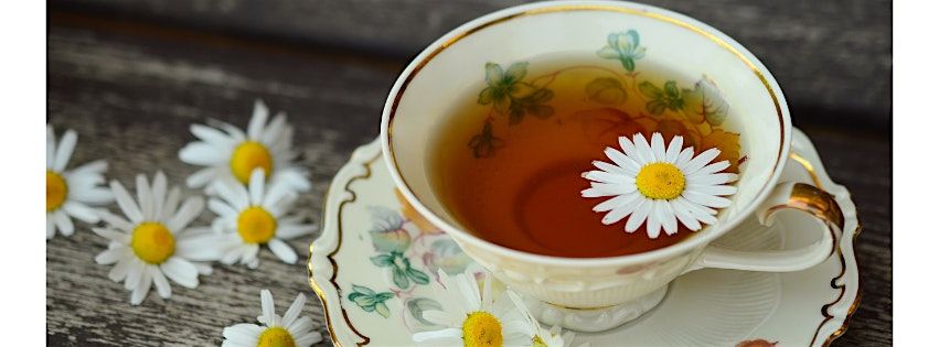 Grandparent's Tea Party Fundraiser