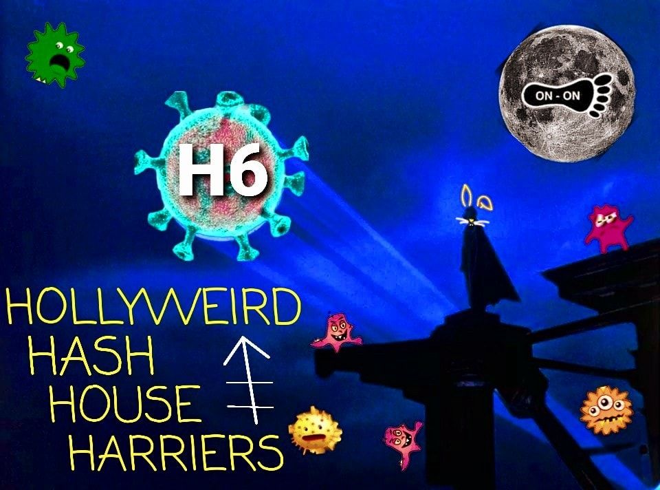 Hollyweird Hash House Harriers HapPy Hour ~ Downward Dog gets Hot ~ H6#22?