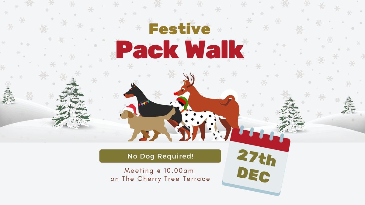 Festive Pack Walk (no dog required!)