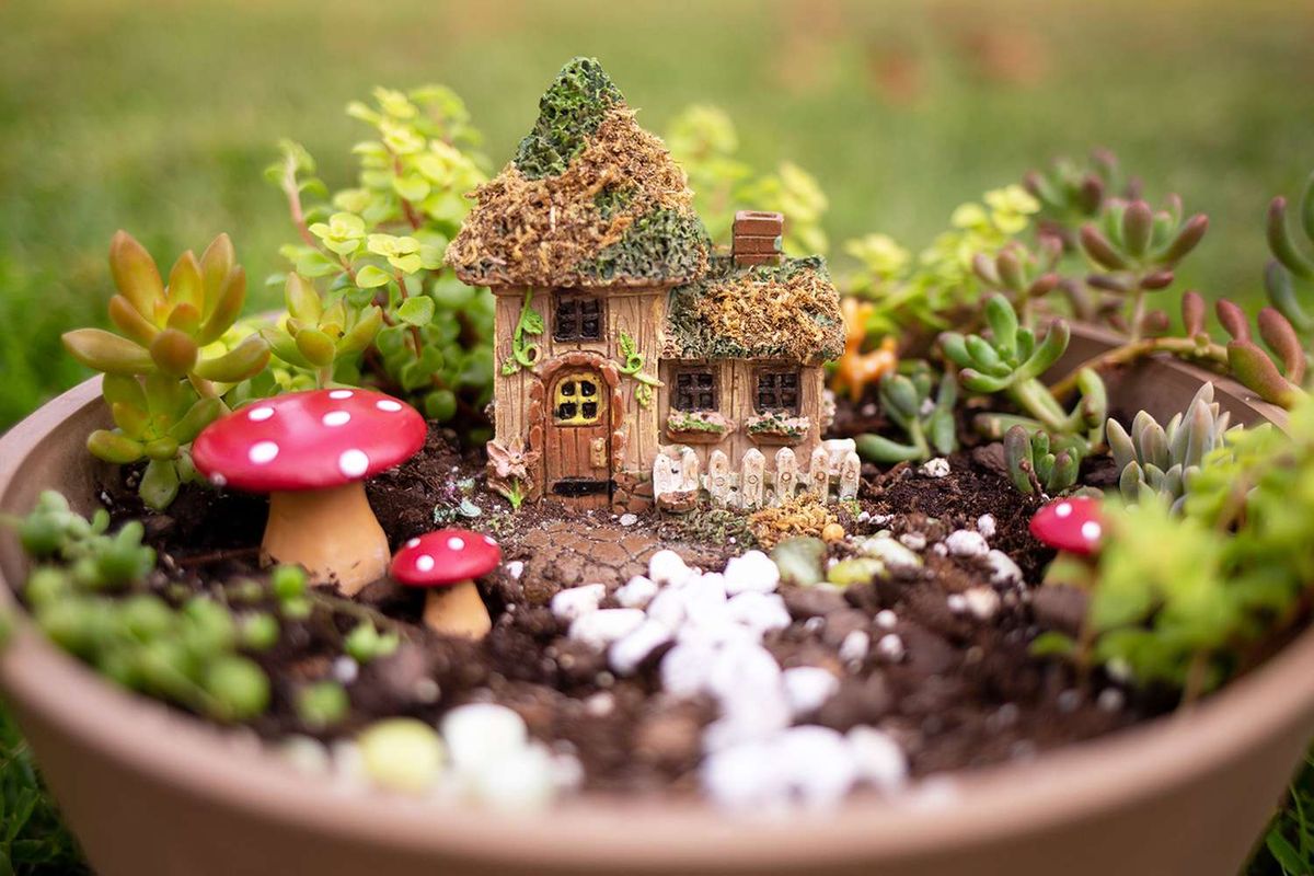 The Magical World of Fairy Gardens