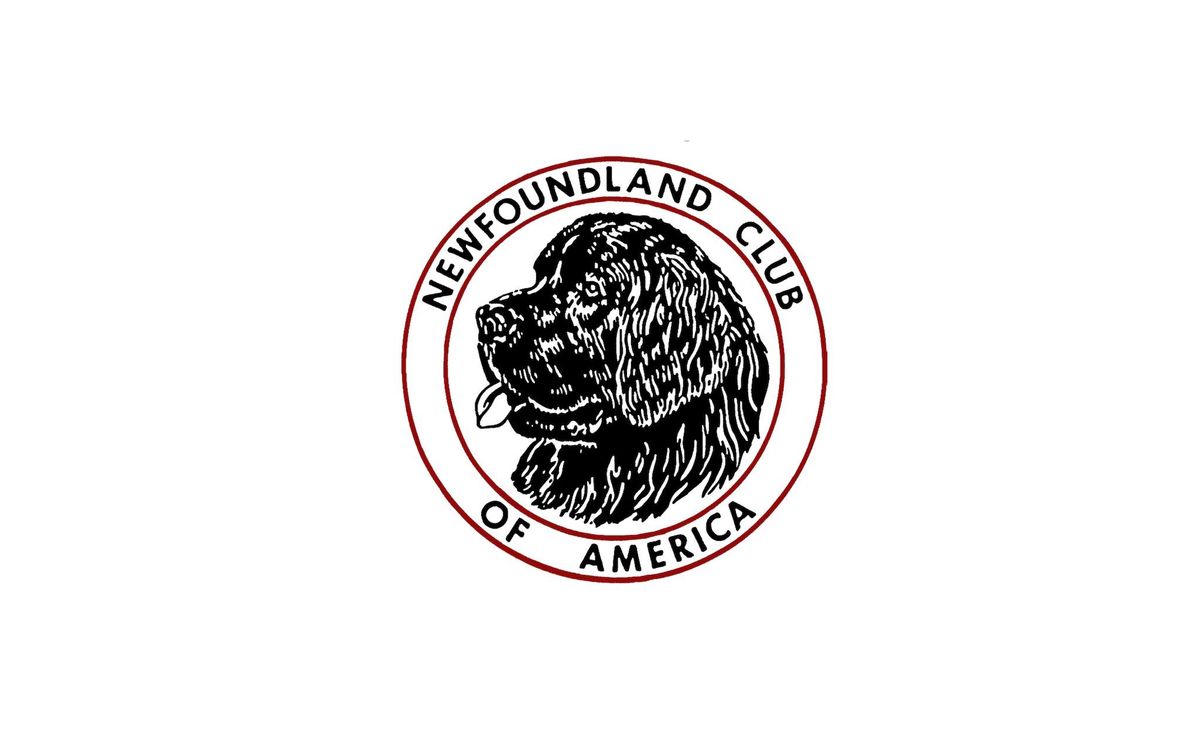 Newfoundland Club of America Specialty 