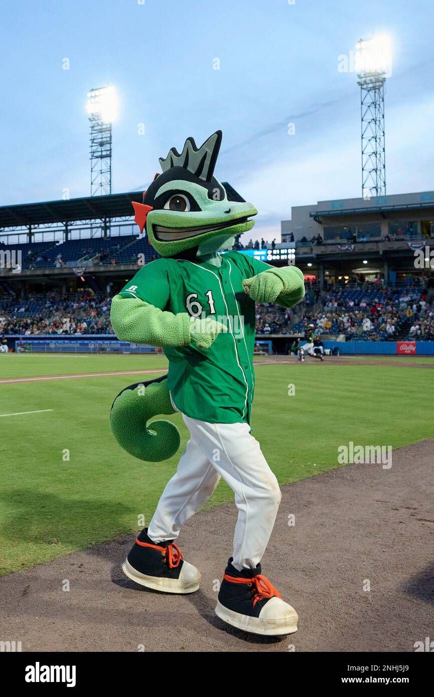 Jacksonville Jumbo Shrimp at Norfolk Tides