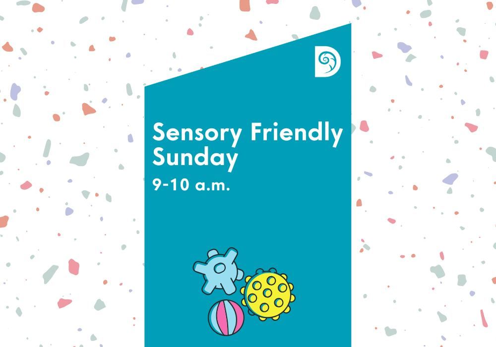 Sensory Friendly Sunday