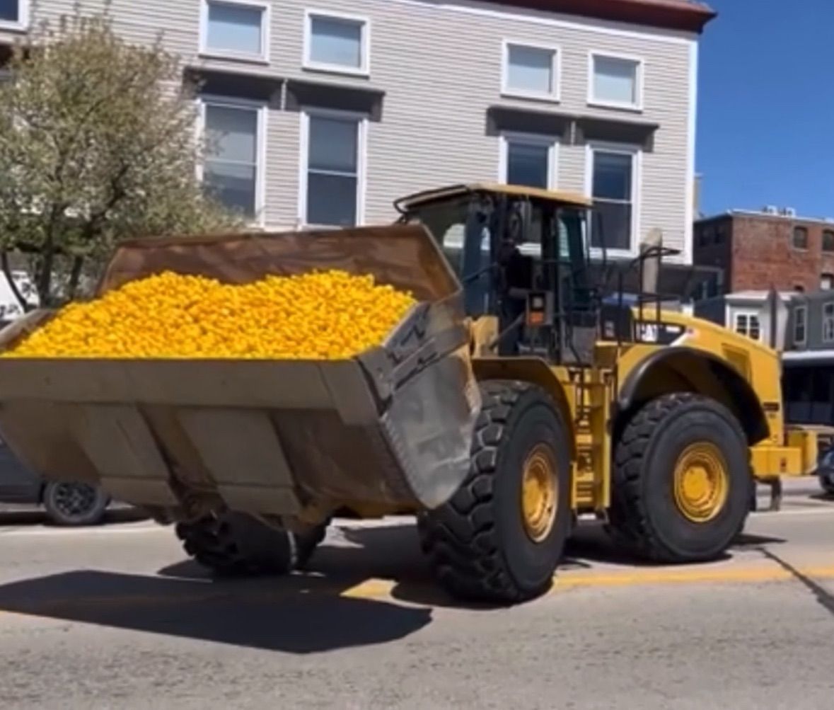 25th Annual Pawcatuck River Duck Race