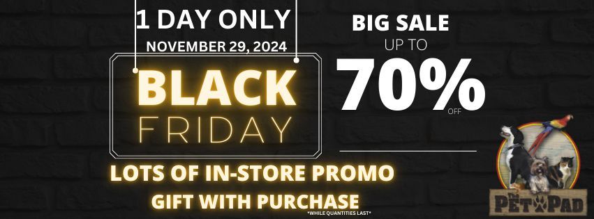 Black Friday Event 2024