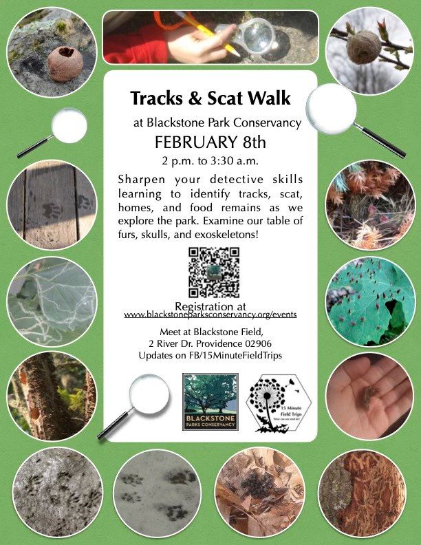 Tracks and Scat Walk