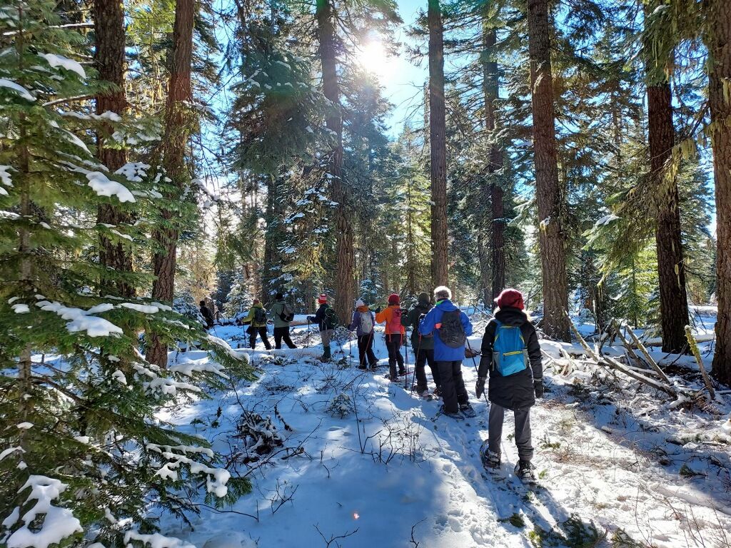 Lichens of the Cascade-Siskiyou National Monument - Saturday Hike