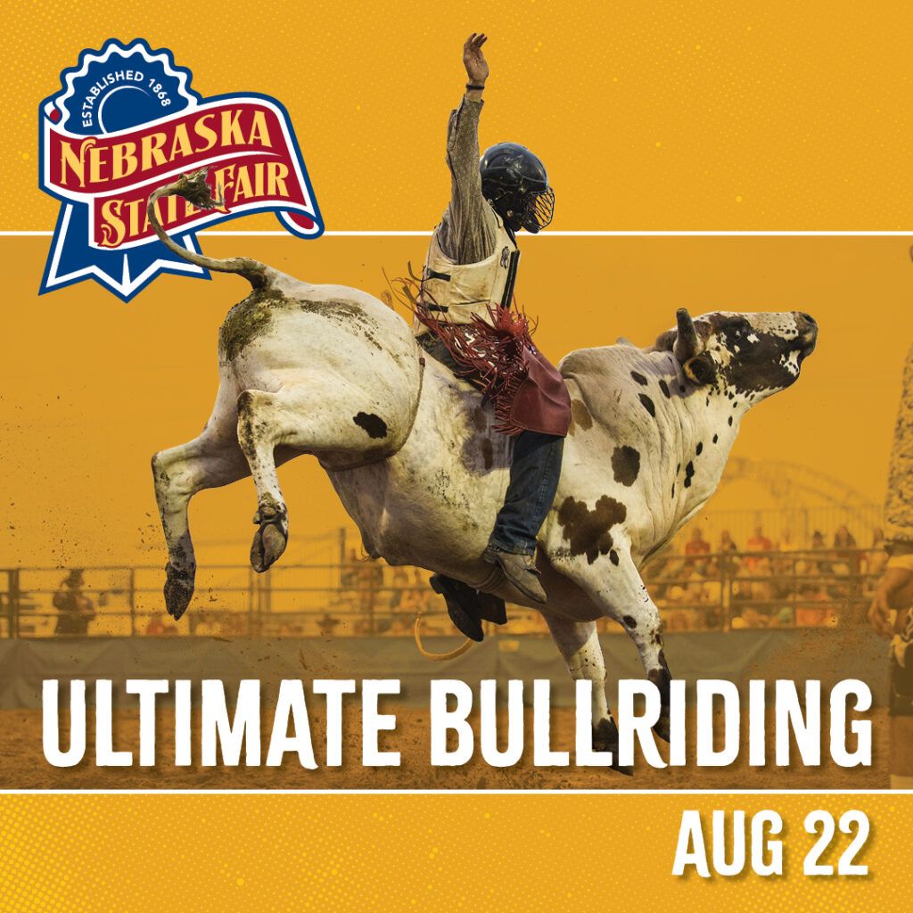 Ultimate Bullfighters