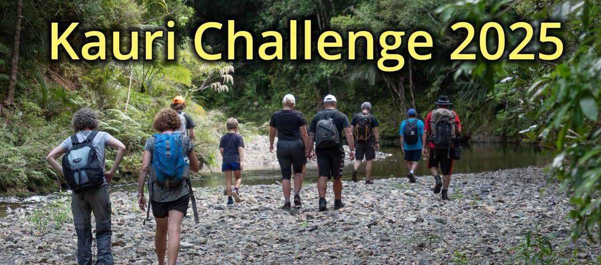 Kauri Challenge - 21km & 12km Stunning Puketi Forest Day Walk