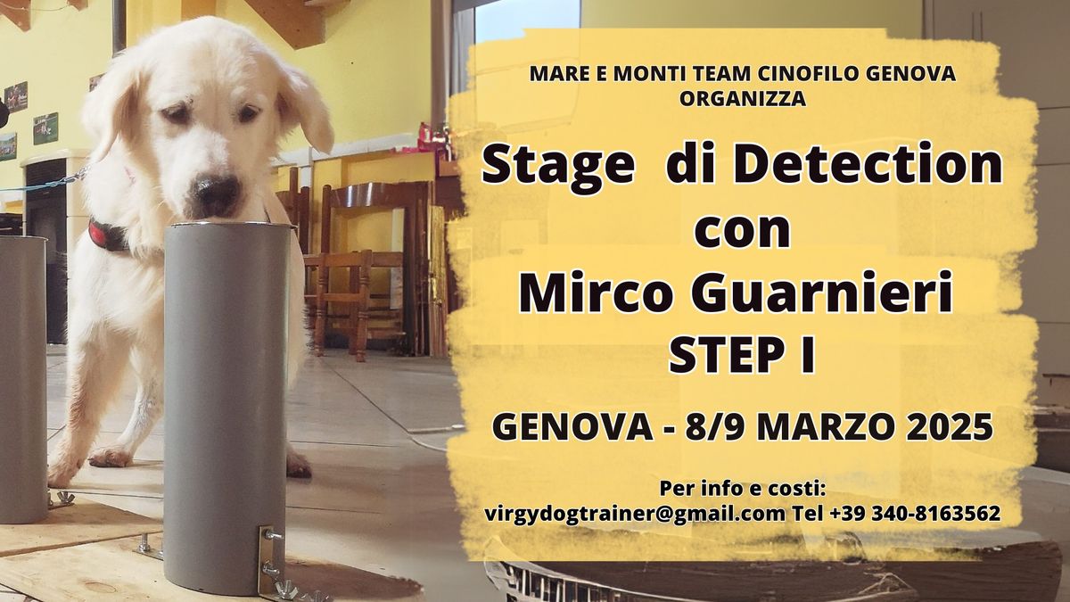 Stage Introduttivo con Mirco Guarnieri - STEP I