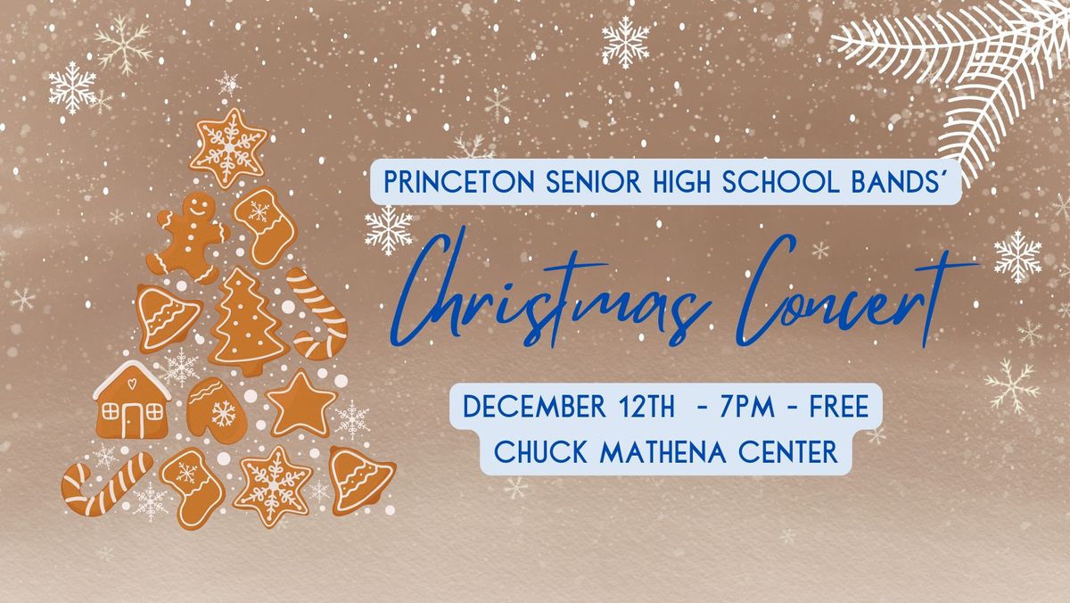 PSHS Band Christmas Concert