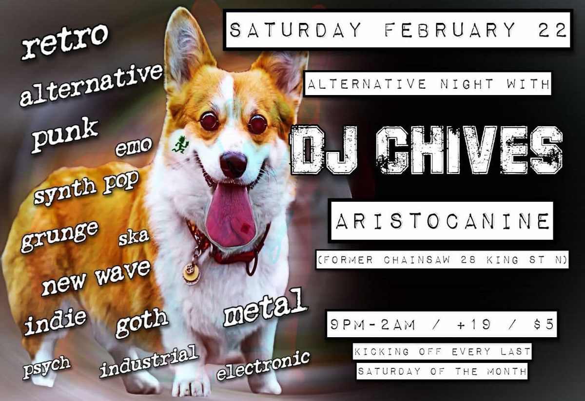 Alternative night with DJ Chives at Aristocanine