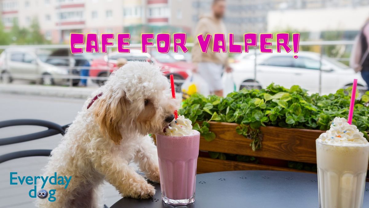 Cafe for valper! 