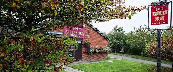 Psychic Show - The Barley Mow