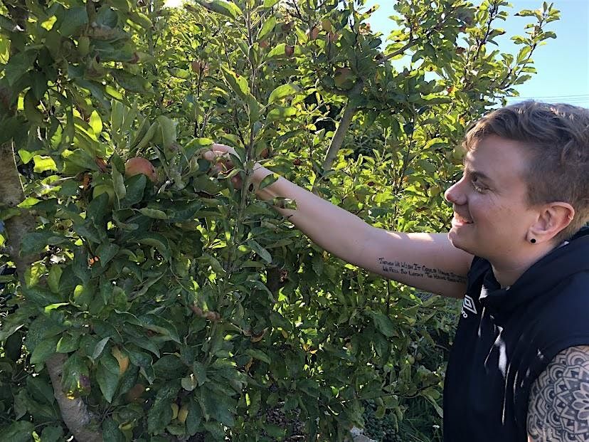 Summer Fruit Tree Pruning