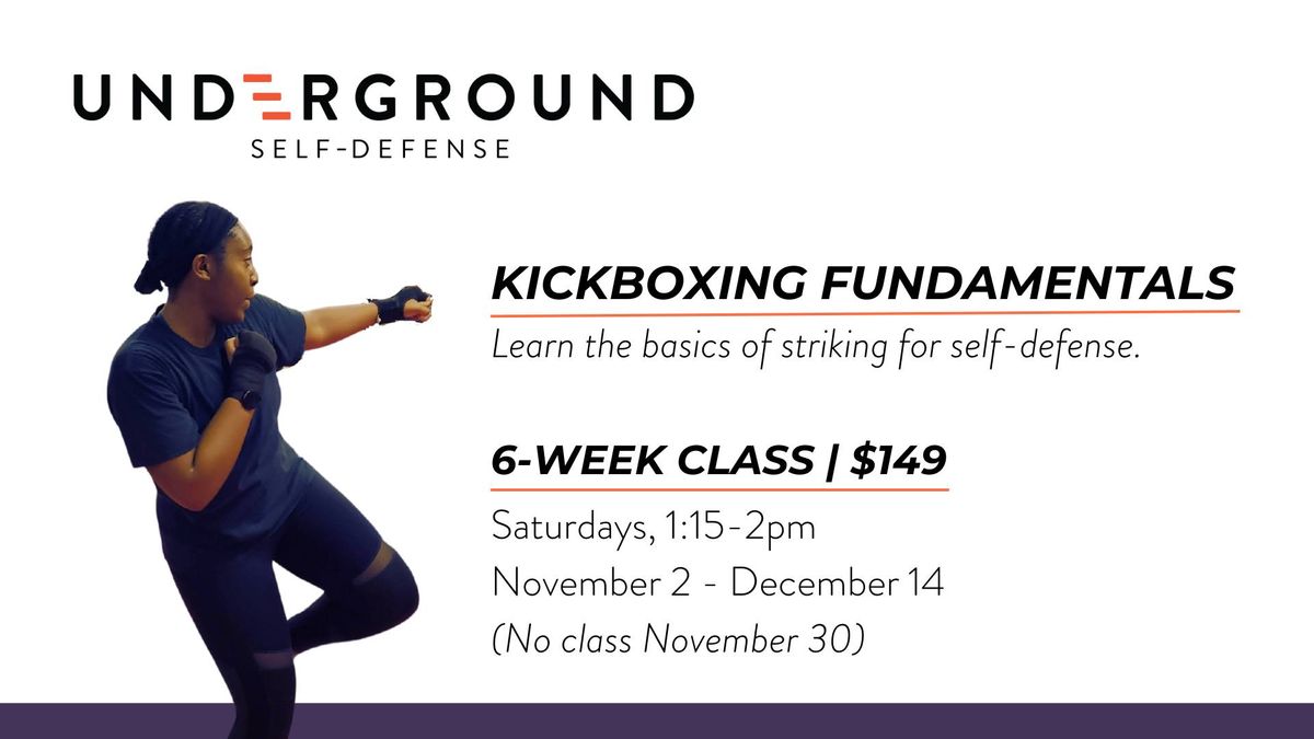 6-Week Beginner Kickboxing Class