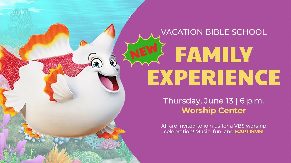 VBS Family Experience