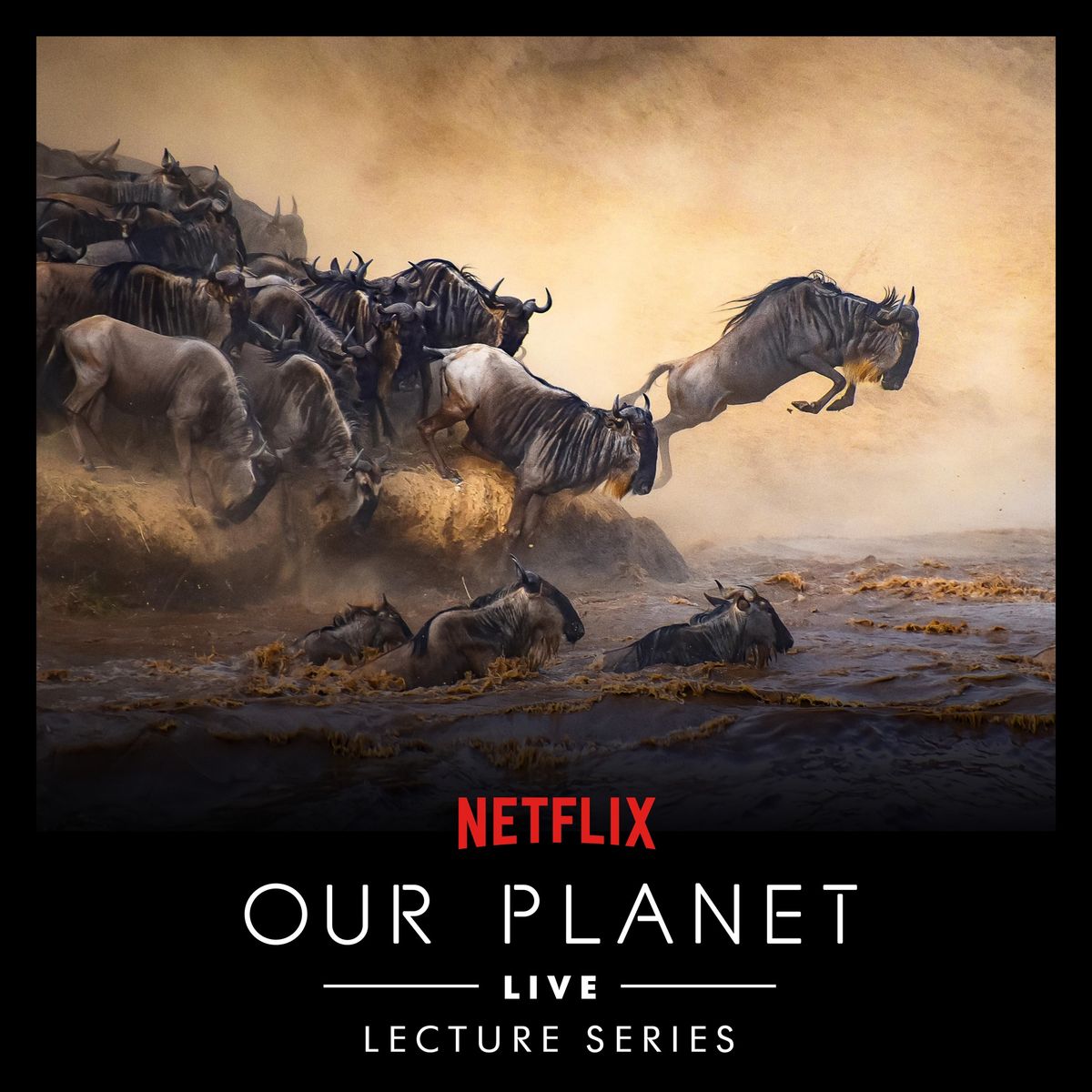 Our Planet Live: A Netflix Original Documentary Series with Dan Tapster