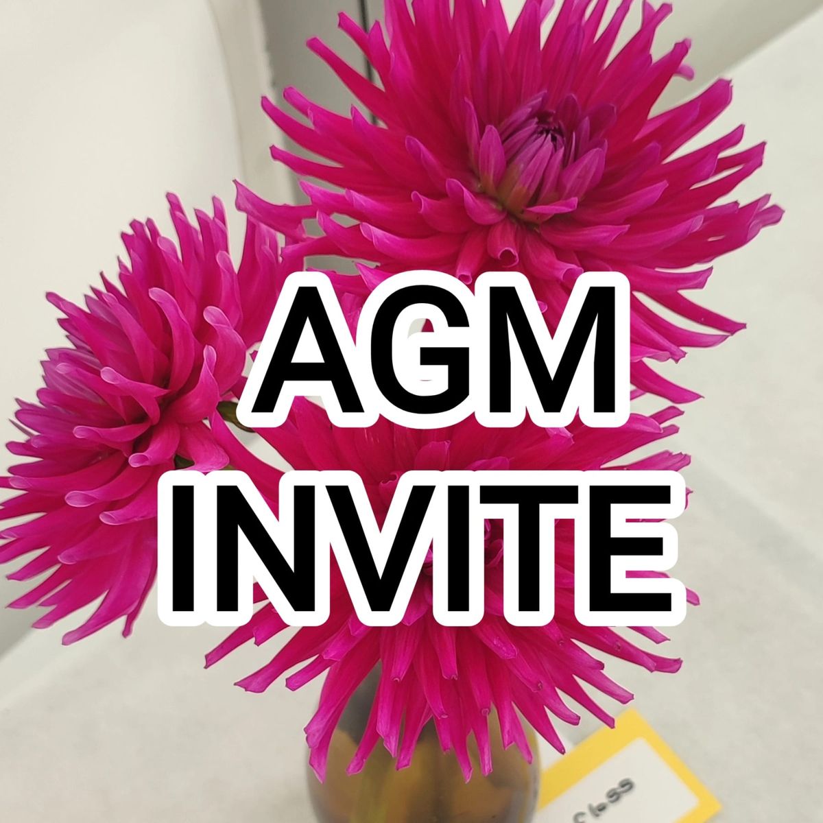 Chipstead Flower Show AGM