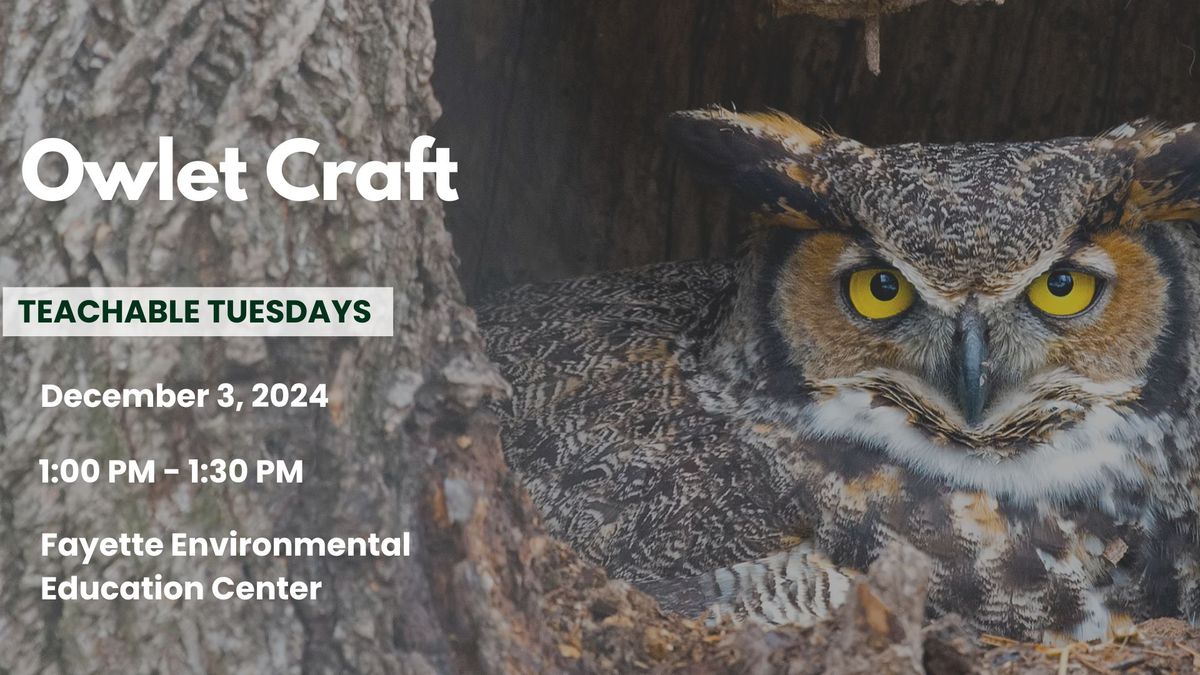 Teachable Tuesdays - December 3 - Owlet Craft 