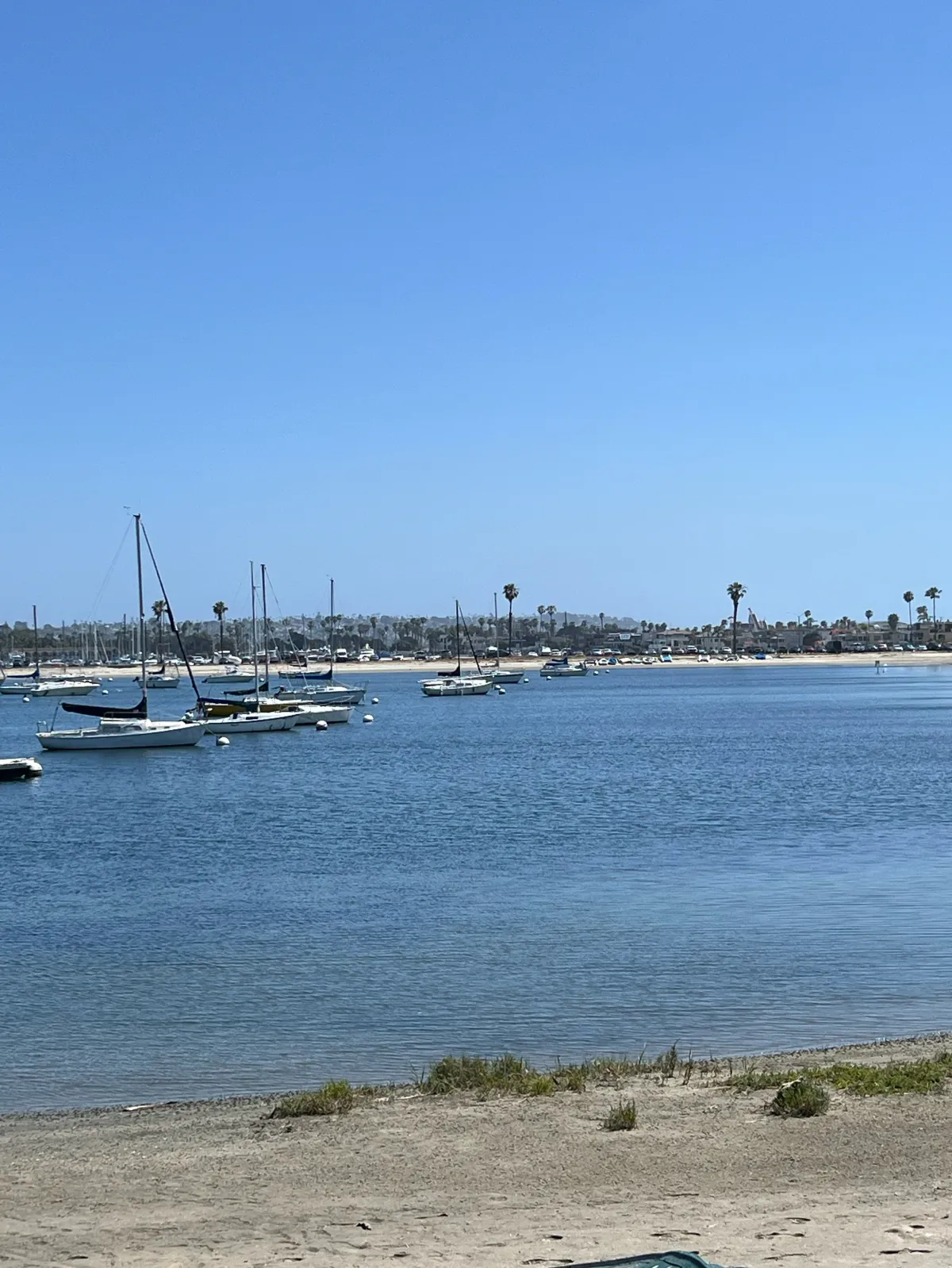 Mission Beach\/ Pacific Beach