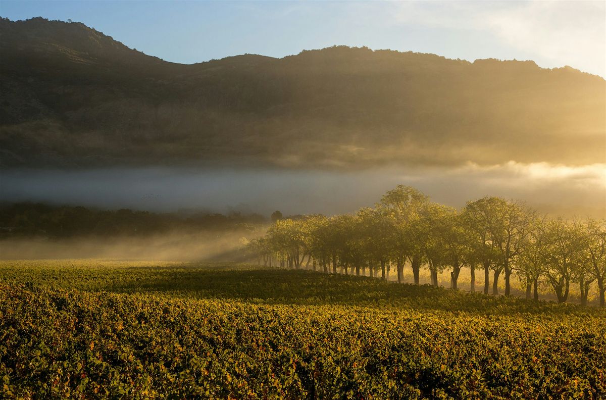 Chart House - Stags' Leap Wine Dinner - Boston