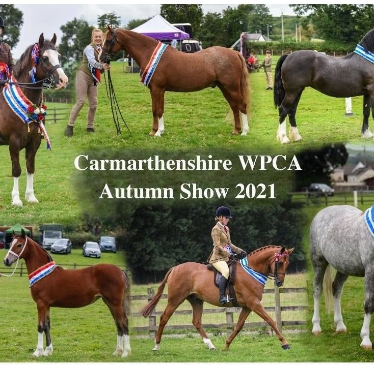 CWPCA 23rd Annual Silver Status Medal Show 2023