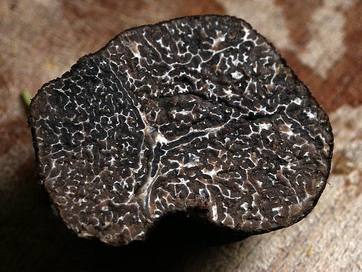 Understanding Truffles