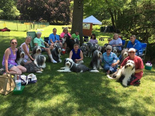 NCBCC Supported Entry at Baltimore County Kennel Club All-Breed Show