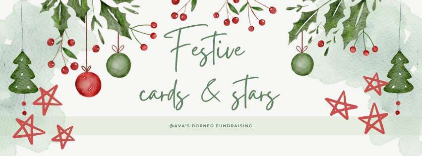 Festive Cards and Stars