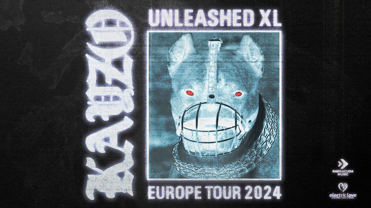 Kayzo \u2022 Flex Wien 2024