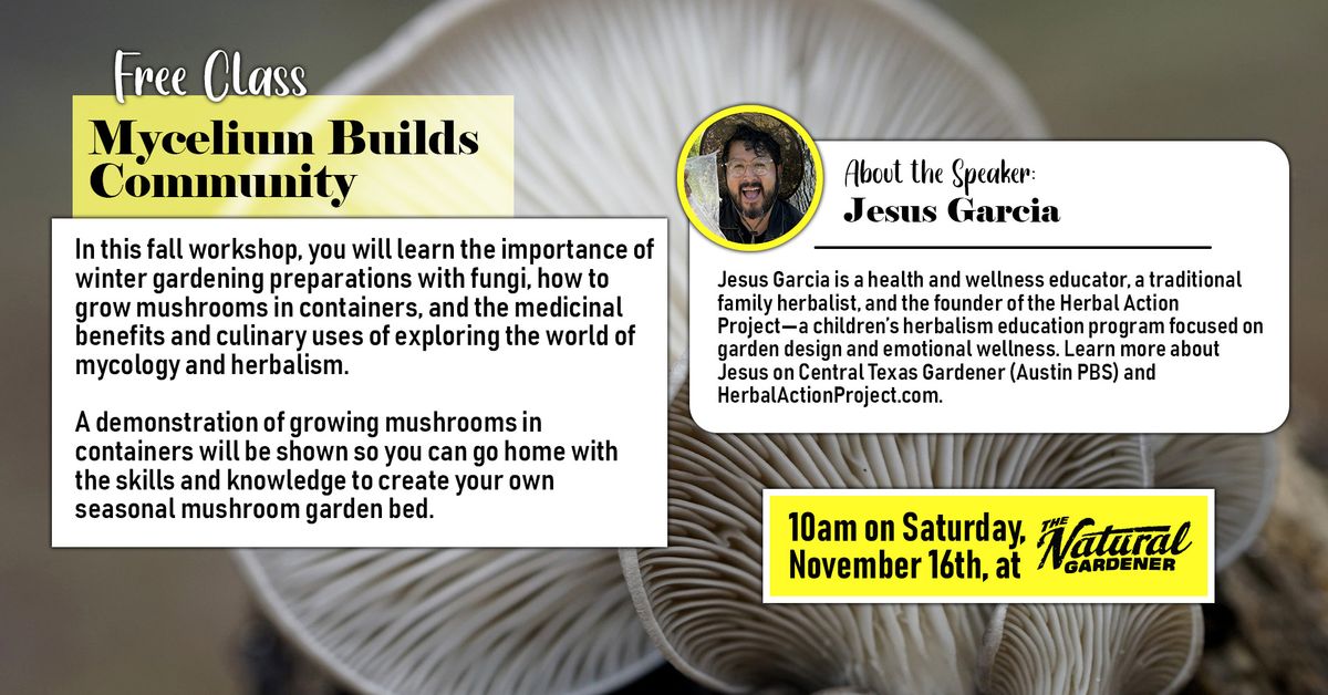 Free Class: Mycelium Builds Community