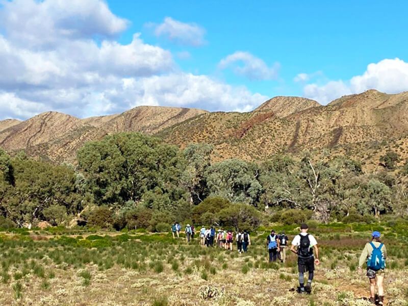 Flinders Ranges Highlights Adventure