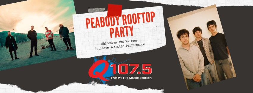 Shinedown\/Wallows Peabody Rooftop Party