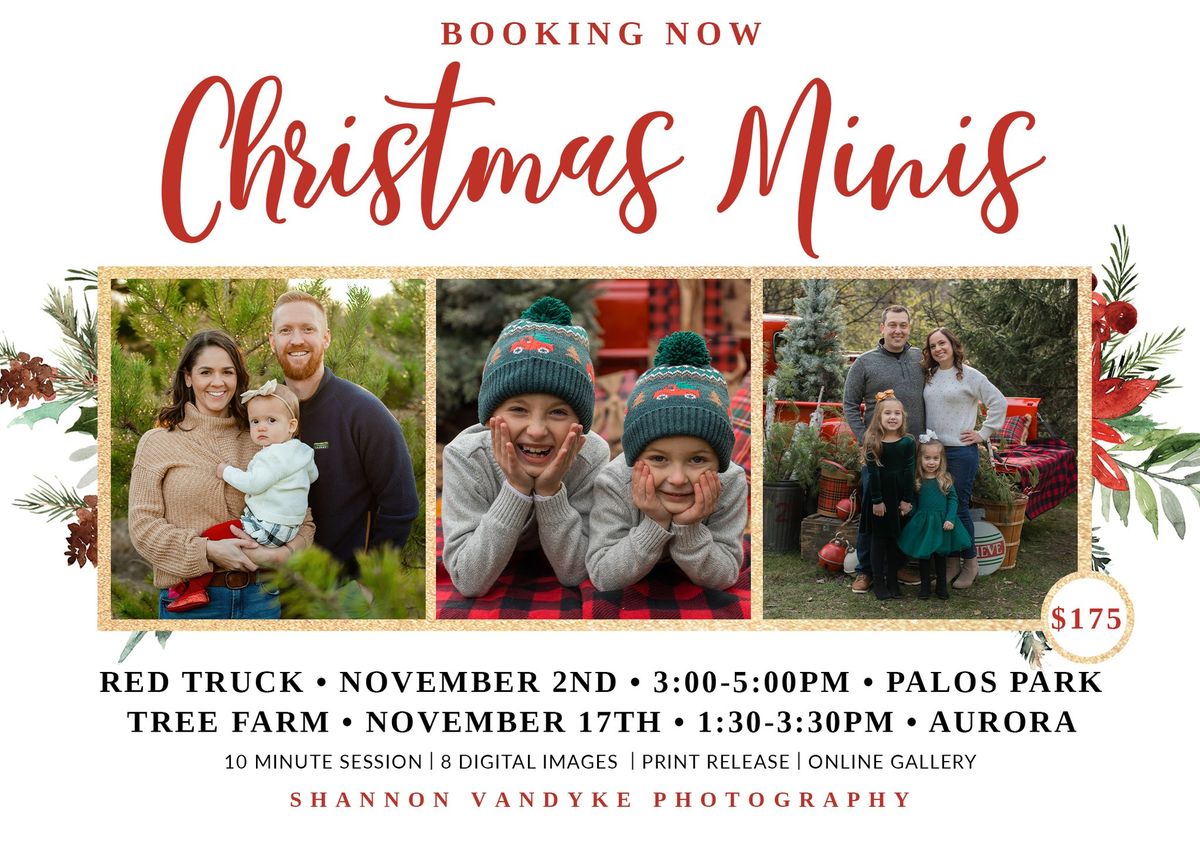 Christmas Tree Farm Mini Sessions | Abbey Farms in Aurora, IL