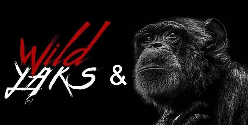 Yaks & Monkeys