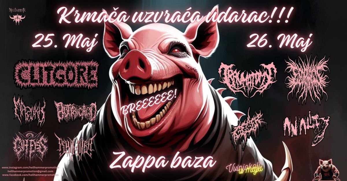 KRMA\u010cA UZVRA\u0106A UDARAC!!! ZAPPA BAZA BEOGRAD