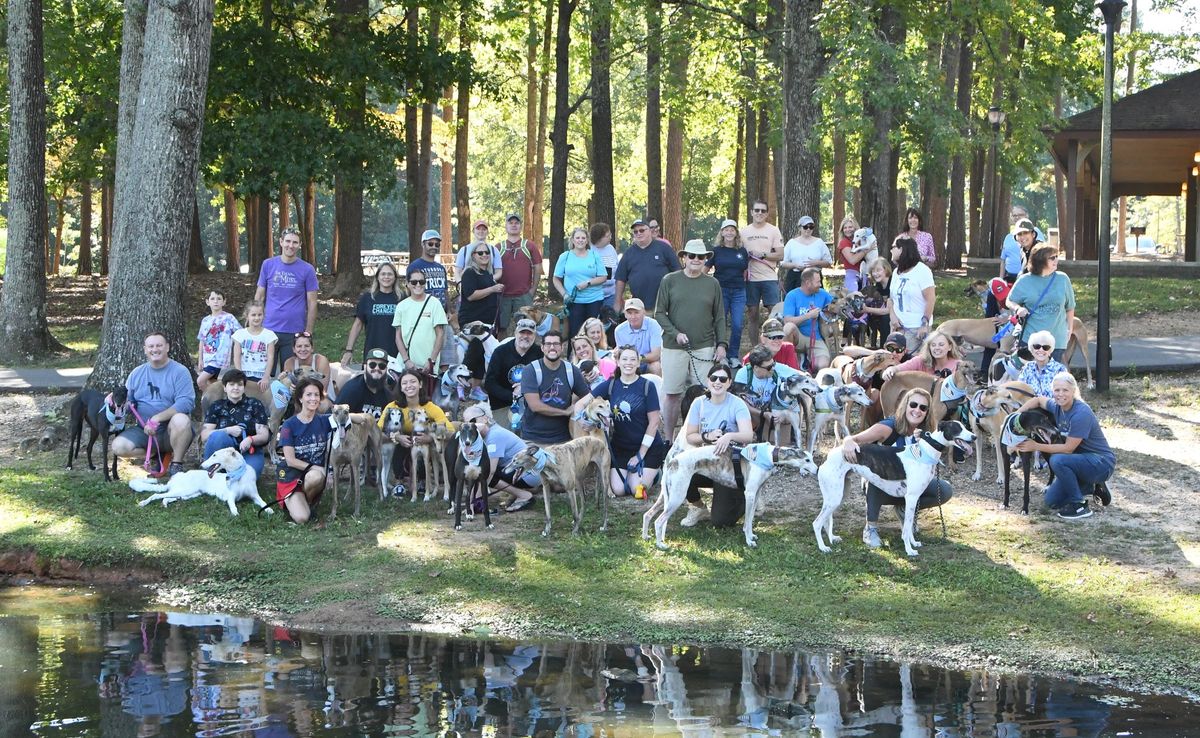 Great Global Greyhound Walk Charlotte