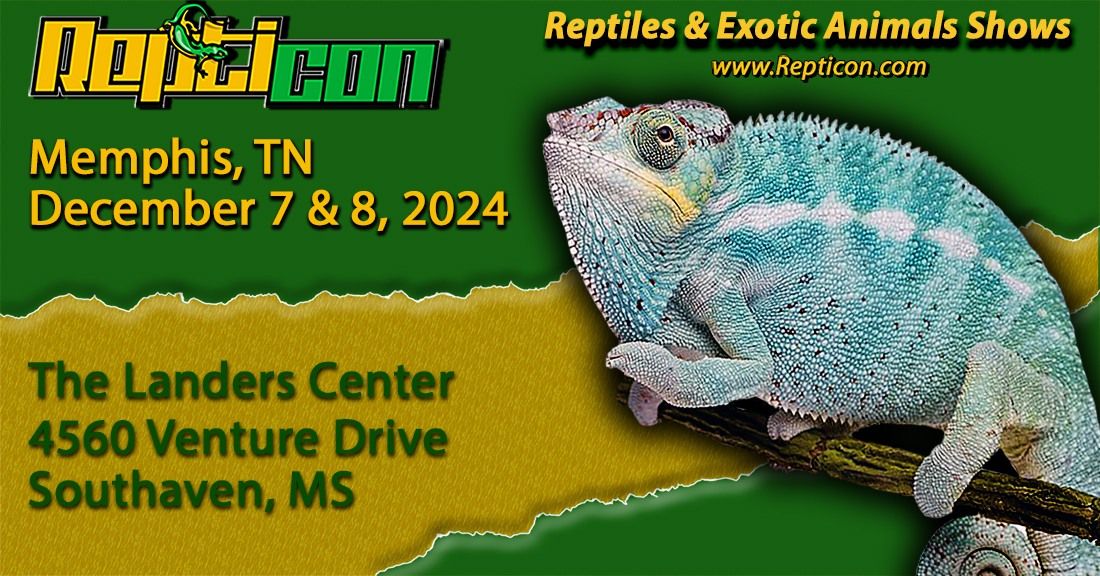 Repticon Memphis