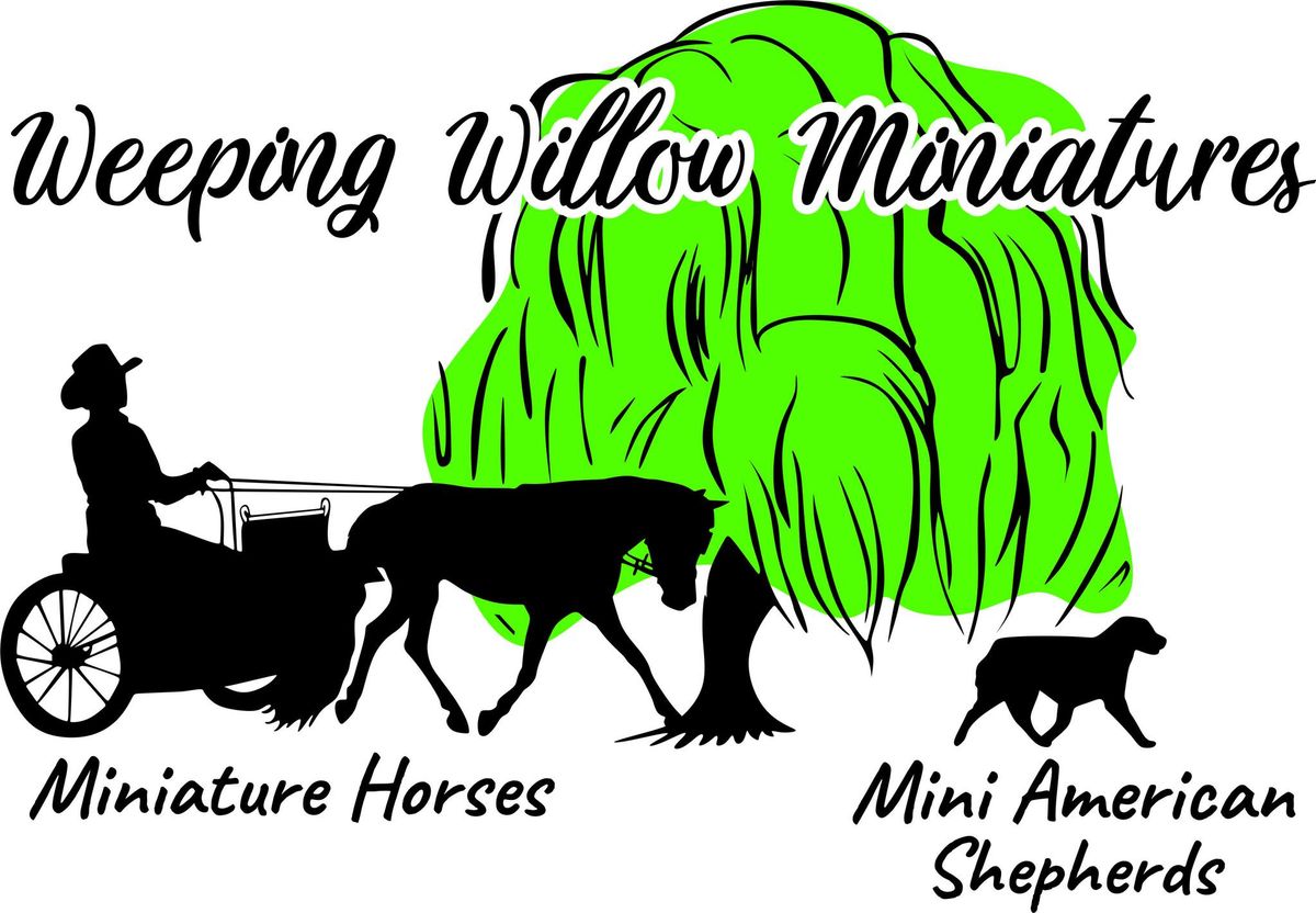 Open House 2024 at Weeping Willow Miniatures, LLC