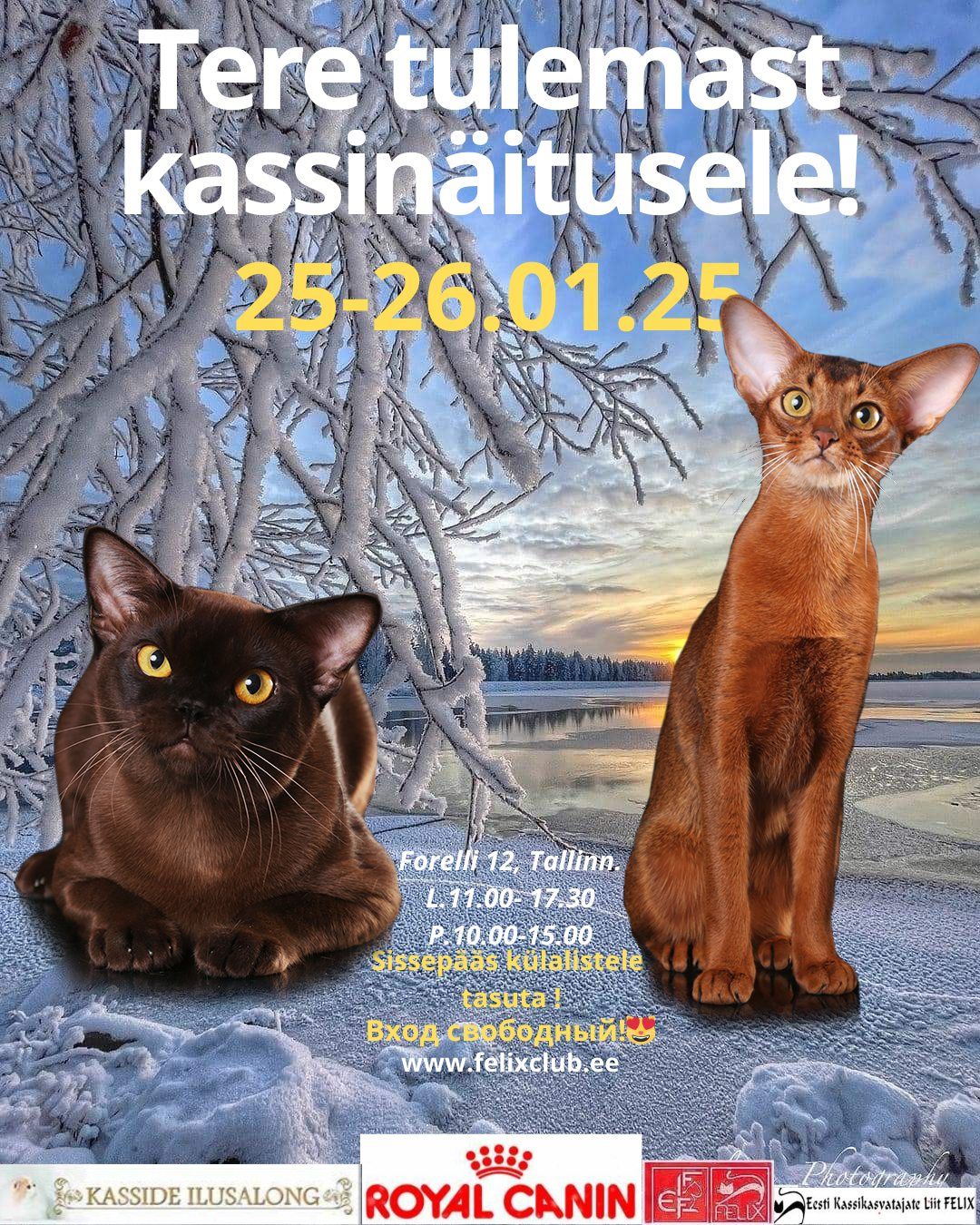 WELCOME TO 242 and 243 INTERNATIONAL CAT SHOWS IN ESTONIA , TALLINN 