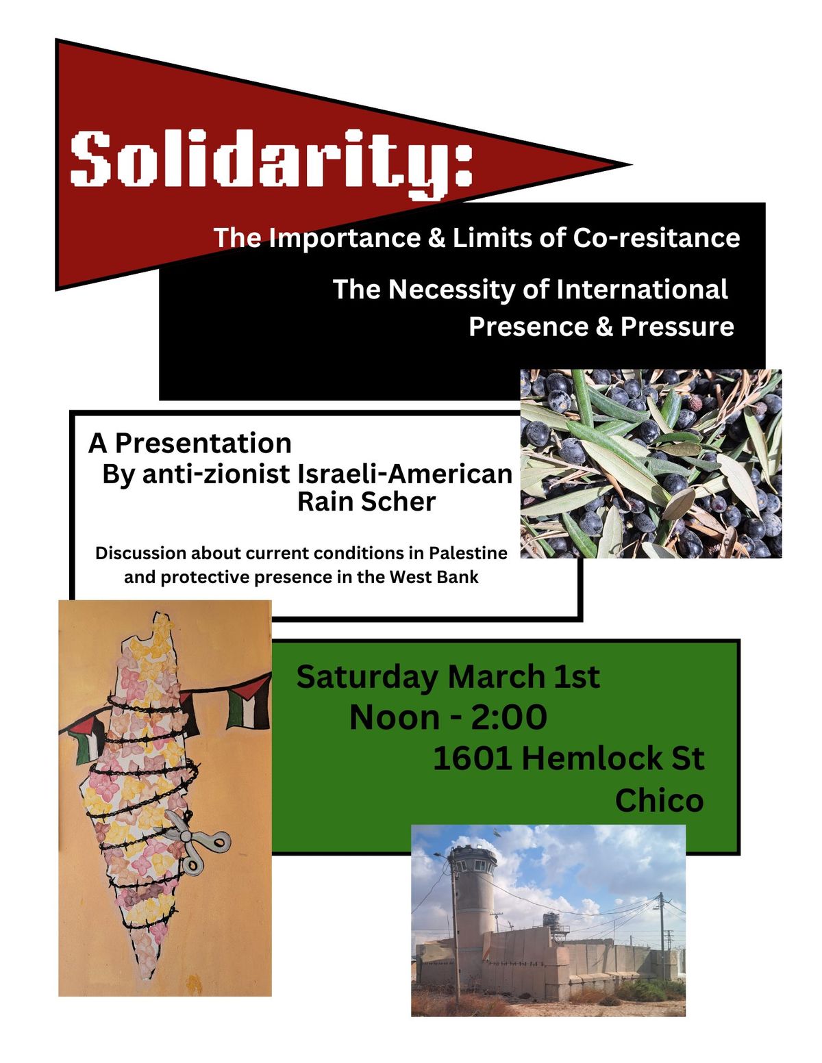 Solidarity Activism in Palestine