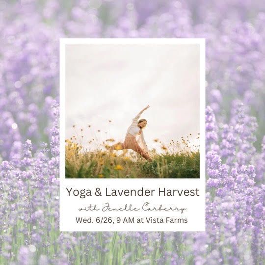 Vista Farms Lavender Harvest & Yoga with Jenelle Carberry