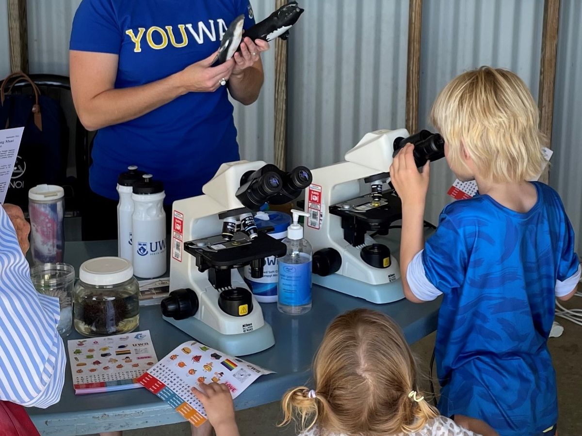 Marine Science for Everyone - Summer Holiday Program 2025