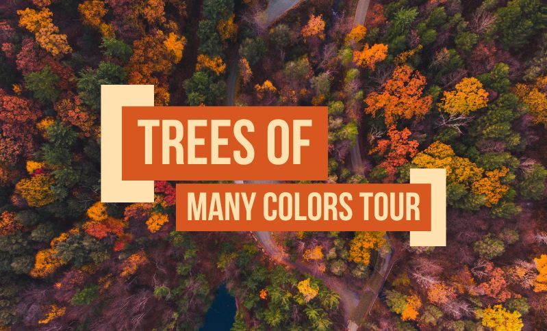 SOLD OUT -Trees of Many Colors Tour Weekend Getaway Great Smoky Mountains Gatlinburg $149 Per Couple