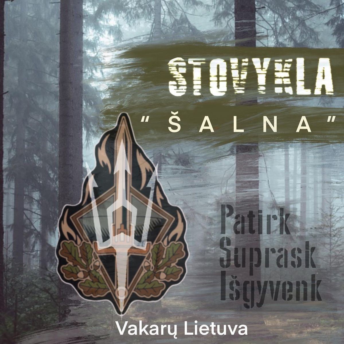 Stovykla vyrams- \u0160ALNA