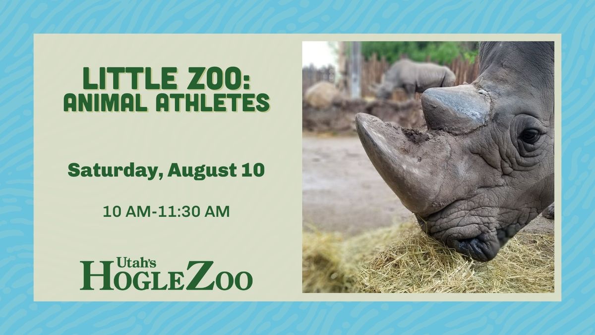 Little Zoo: Animal Athletes SOLD OUT