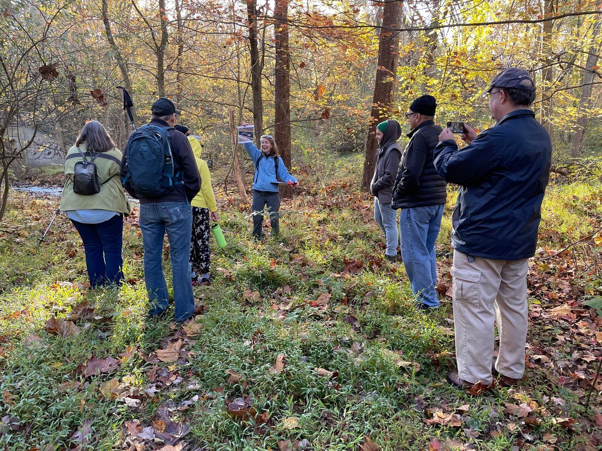 Walk in the Woods: Let's be Smart About Winter Salt