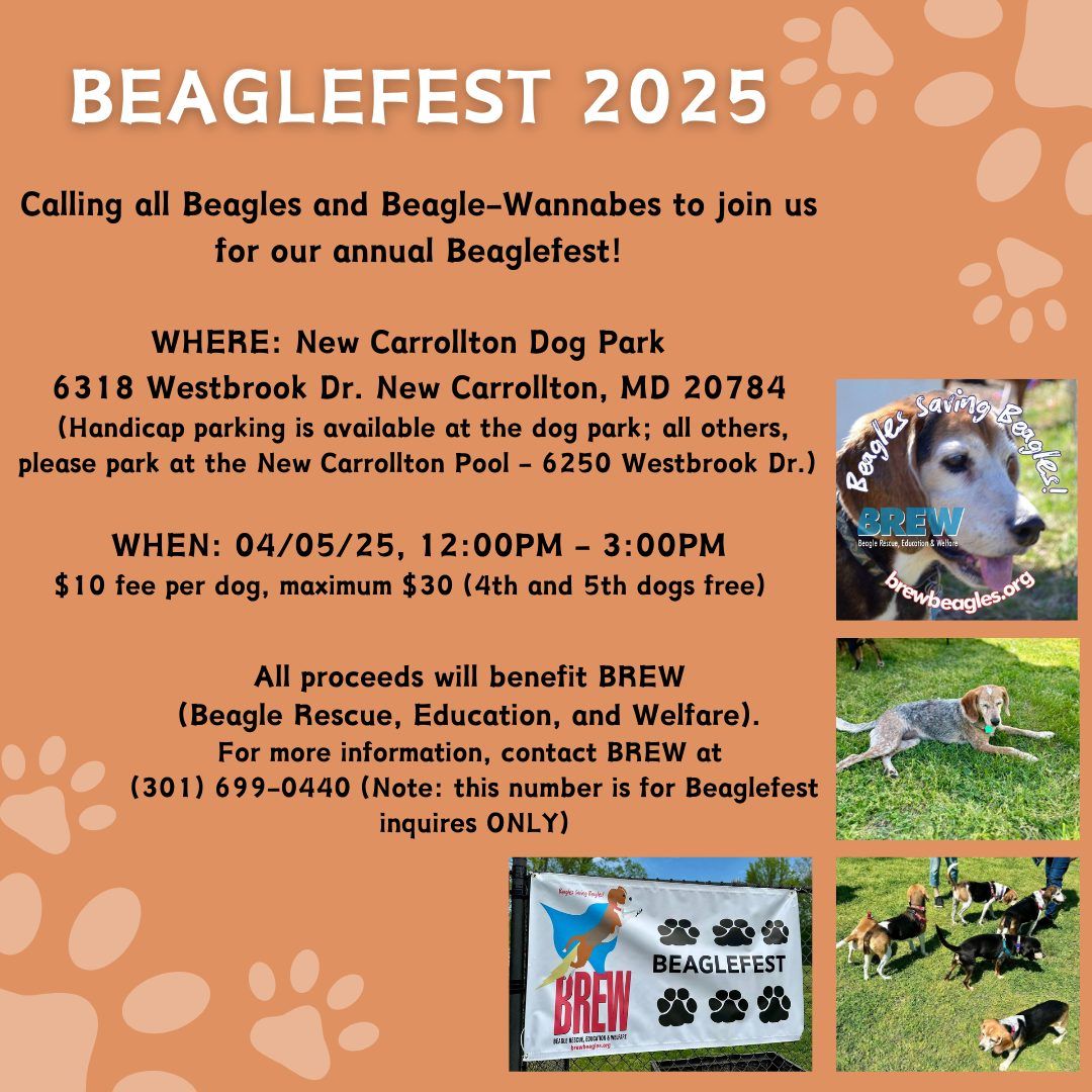 Beaglefest 2025