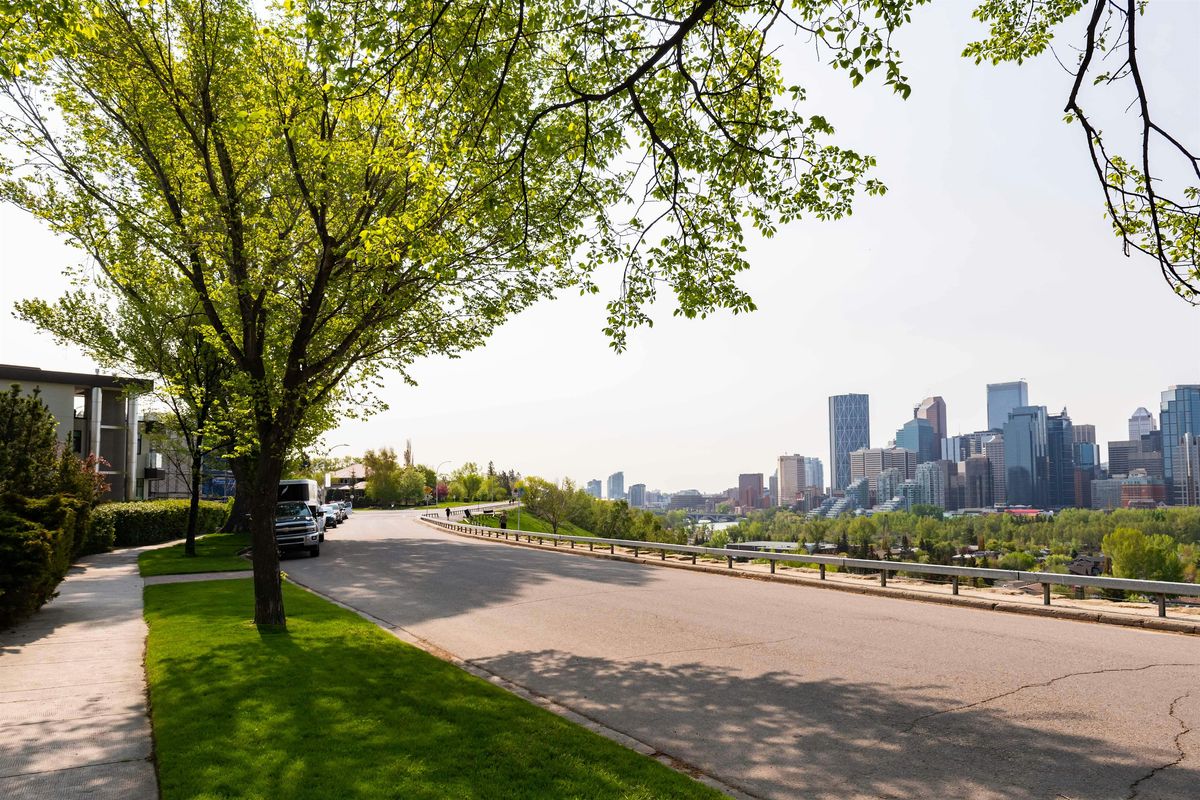 YYC Trees: Crescent Heights Park, Tree Guided Walk